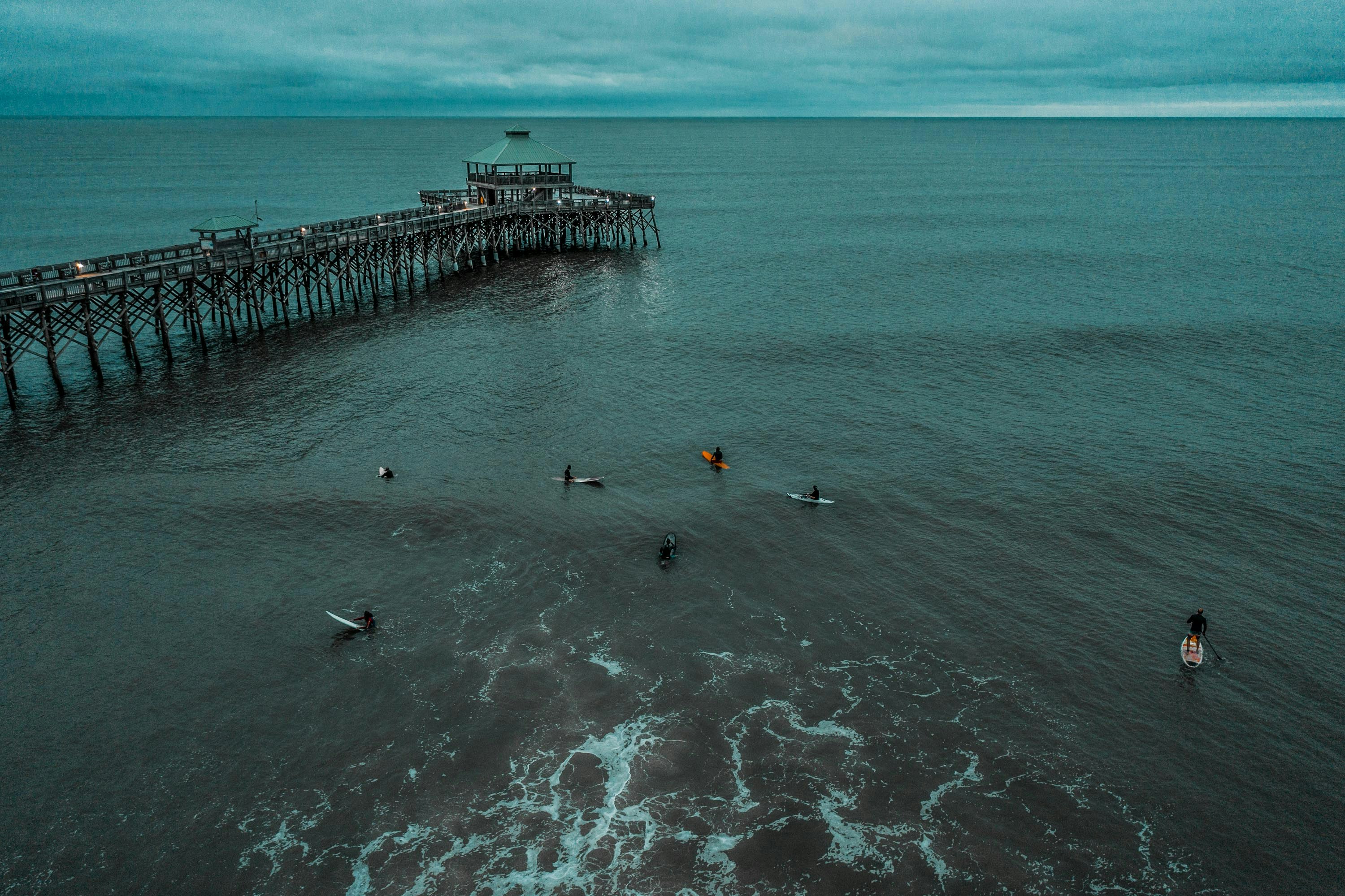 birds on sea during daytime